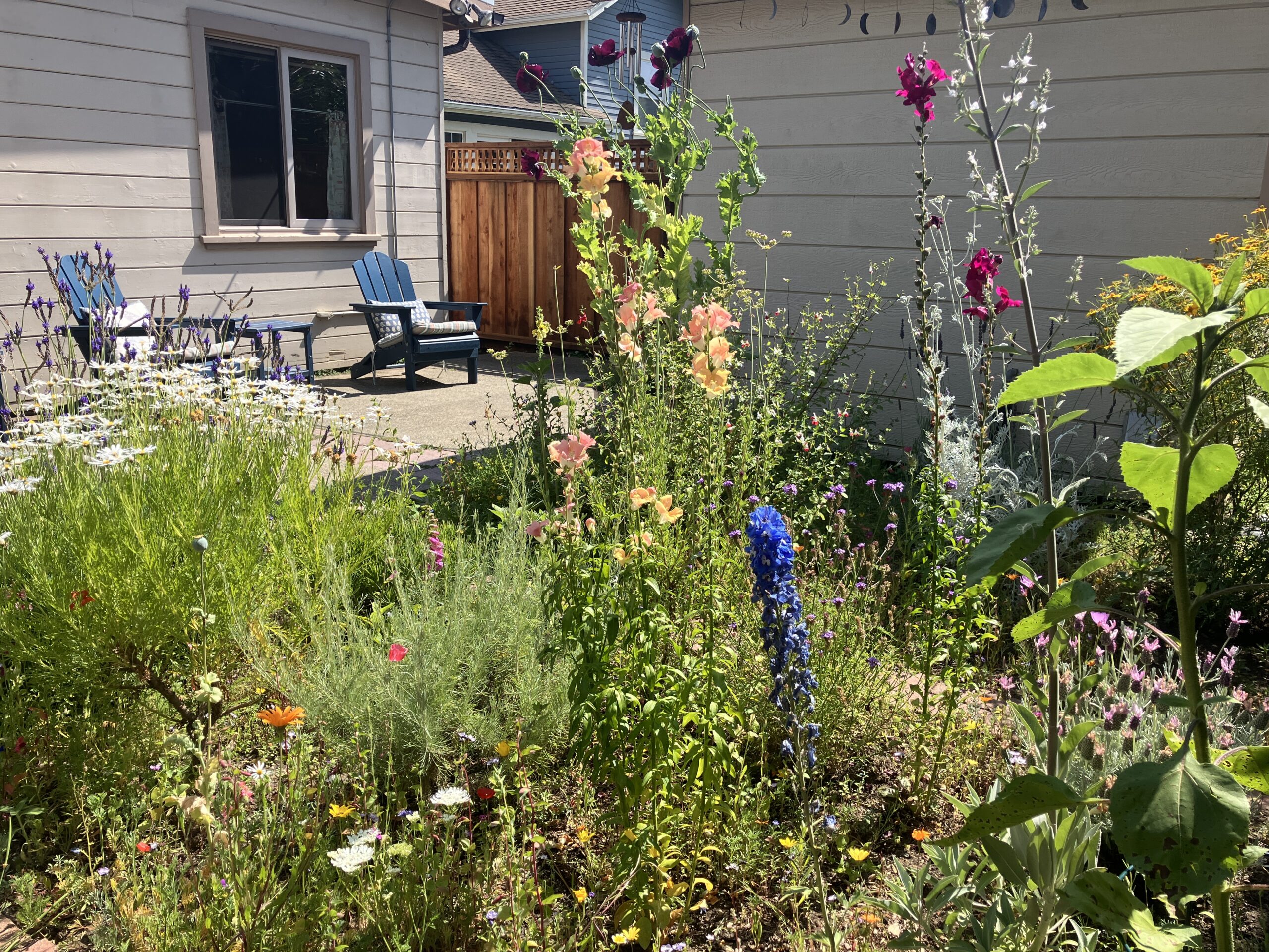 A photo of a backyard flower garden.