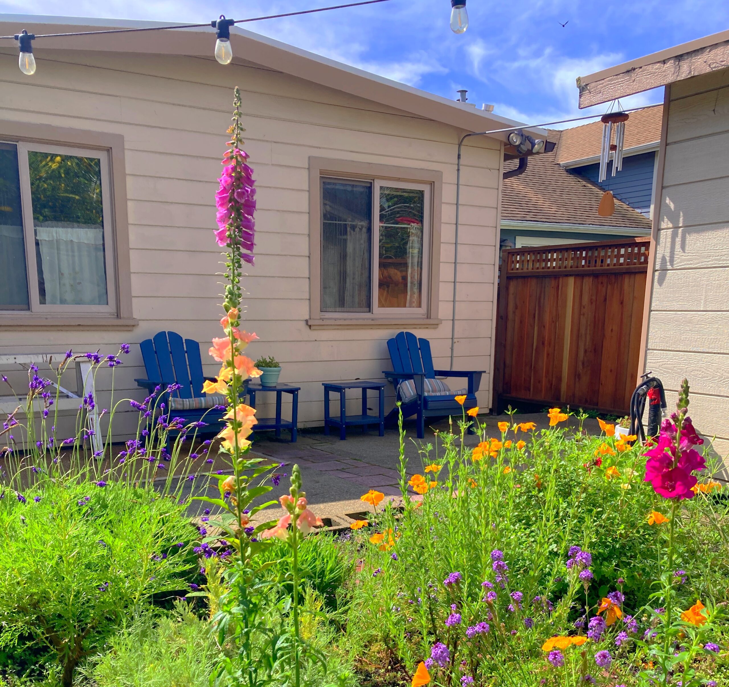 Photo of a backyard flower garden.